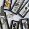 Dried Flower Frame